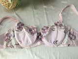 High Class Charming Lingerie Lady Underwear Bra Set