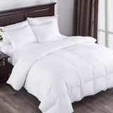 100% Cotton Polyester Filling Quilt for Home Soft German Piping Comforter