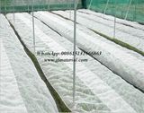 Vegetable Mesh Anti Pest Net