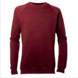 Custom Nice Cotton/Polyester Plain Hoodies Sweatshirt of Fleece Terry (F061)