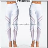 2017 New Style Ladies Sports Wear Yoga Pants Custom