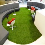 High Density&Diamond Monofilament Yarn Environment Carpet