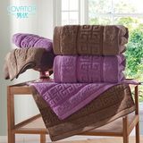 Promotional Hotel Cotton Bath / Face / Hand / Beach Towel