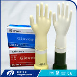 Latex Examination Gloves in Malaysia