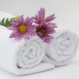 China Manufacturers Supply Super Soft Hotel Bath Towel (DPFT8058)