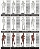 Full Body Sexy Girl Mannequin Factory Price