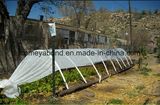 Best-Selling Product Agricultural Product Fruit Fly Nets /Vegetables Anti Fly Net /Greenhouse Anti Insect Net