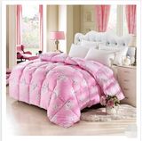 High Quality Goose Down Quilt Velvet Quilt (T121)