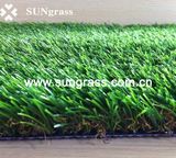 Synthetic Turf Carpet for Landscape Garden (SUNQ-HY00020)