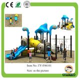 Amazing Children Outdoor Playground Equipment (TY-F06101)
