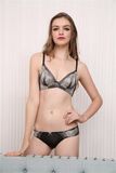 Good Quality Transparent Lace Ladies Bra Set (CS21128)