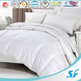 High Standard Sheraton Hotel Duck Down Quilt