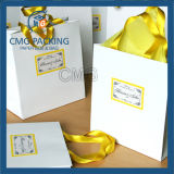 Brand Craft Paper Bag Shopping and Packaging (DM-GPBB-099)