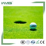 Carpet Grass Price for Golf Course