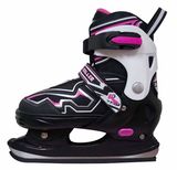 with The Skate Blade Ice Skate Roller Skate