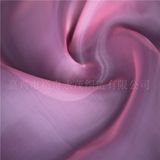 2080 Organza Fabric for Fashionable Dress