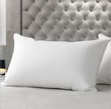 New Style 100% Polyester Cheap Competitive Price Pillow
