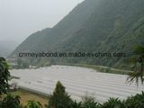 China Cheap Price PE Plastic Anti Insect Net, Anti Aphid Net for Greenhouse Garden
