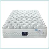 2017 Perfect Bed Mattress