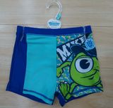 Boys Shorts Swimwear