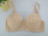 New Design Sexy Plus Size Bra for Women