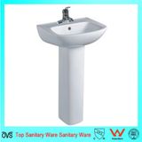 Bathroom Shape Bathroom Wash Pedestal Basins