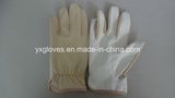 PU Glove-Electronic Gloves-Cheap Glove-Safety Glove-Working Glove-Industrial Glove