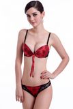 Fashion Lace Design Sexy Bra Set, Cotton Underwear (EPB301)