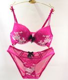 Factory Direct Sexy Underwear Lace Bra Set (CS21125)