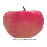 Stuffed Fruit Apple Soft Pillow