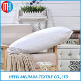 Home Furniture 100% Cotton Indoor Decorative Cushion