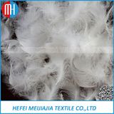 Washed White Duck or Goose Down Feather Price