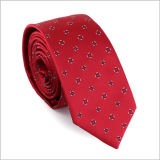New Design Fashionable Polyester Woven Necktie (50221-24)