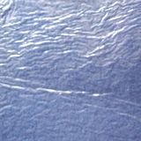 Film-Coated 100% Polyester Exhibition Carpet