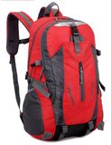 Well Sold Fashion Traveling Backpack Bag for Man and Woman