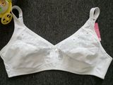 Wholesale Plus Size Bras Yoga Sports Girl Sexy Bra