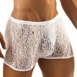 Sexy Underpants / Men's Underwear / Underpants (MU00317)