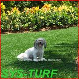 Artificial Turf for Pet with Memory Carpet