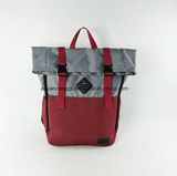 Hot Sale Two Tone Material Business Laptop Travel Backpack