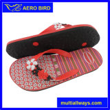 Fashion Slipper with Folower Strap for Woman (T1642)