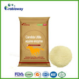 Private Label Equestrian Horse Candida Utilis Probiotics Equine Feed Additives