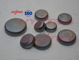 Bimetallic High Chrome White Iron (CWI) Extreme Applications Wear Buttons