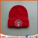 Winter Warm Embroidery Beanie Hat