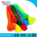 Self-locking Nylon Cable Ties /Plastic Zip Ties