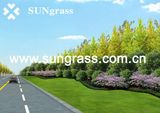 Synthetic Lawn Carpet for Courtyard or Balcony (SUNQ-HY00021)