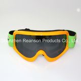 High Quality Double Lenses Ski Goggles