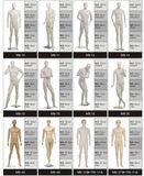 Brand Sport Shop Display Top Quality Men Golf Mannequins