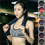 Quick Dry Wire Free Push up Yoga Sports Bra