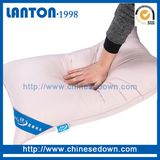 Grey/ White Duck Down Pillow for Home/ Hotel
