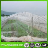 50 Mesh UV Treated HDPE Anti Insect Net for Greenhouse